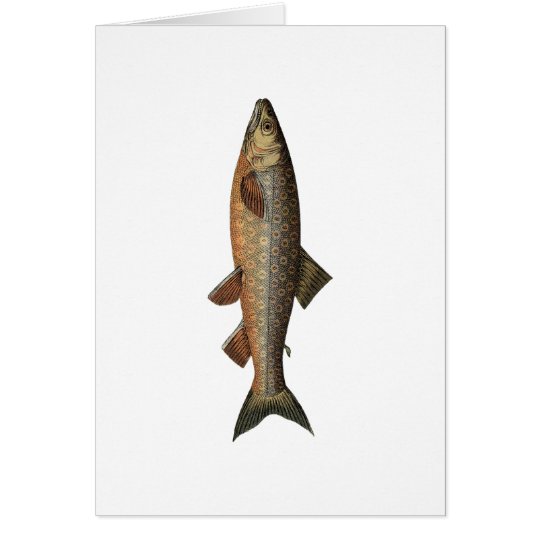 Vintager Fischen-Vatertag Karte