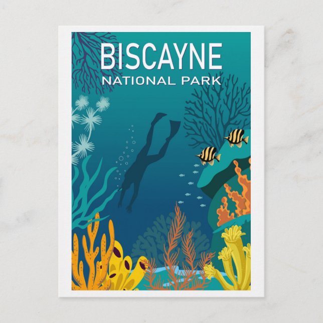 Vintager Florida Biscayne Nationalpark Reisen Postkarte (Vorderseite)
