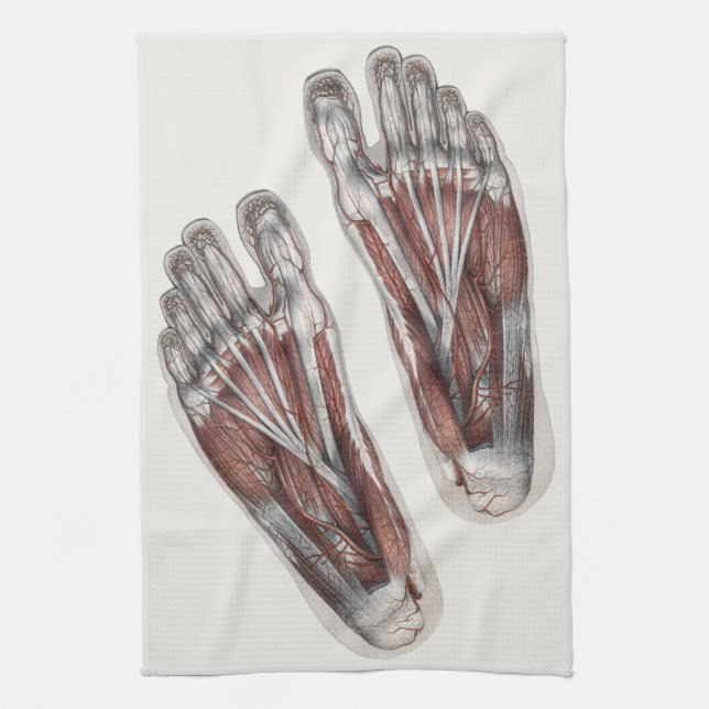Vintager Footprint Podiatrie Feet Geschirrtuch (Vertikal)