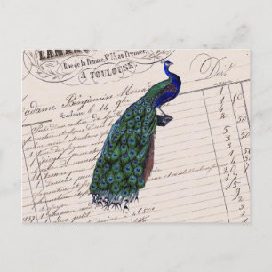 Vintager französischer Chic Blue Peacock Postkarte