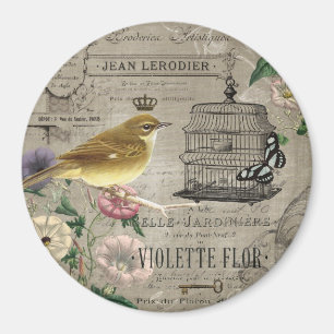 Vintager französischer Gartenvogelmagnet Magnet