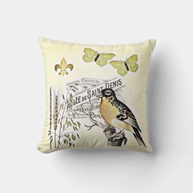 Vintager französischer kissen (Vorderseite)