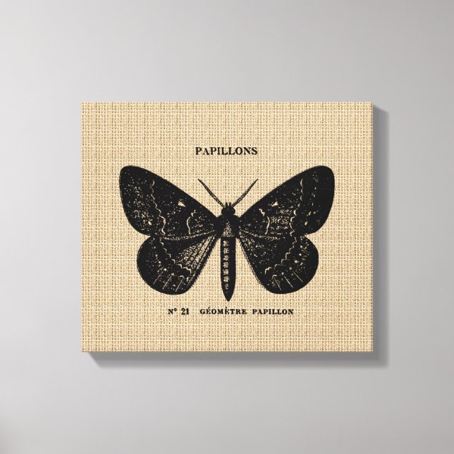 Vintager französischer Schmetterling auf Leinwand (Vorderseite)
