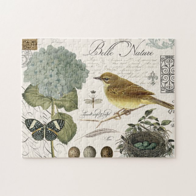 Vintager französischer Vogel und Nest (Horizontal)