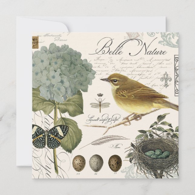 Vintager französischer Vogel und Nest (Vorderseite)