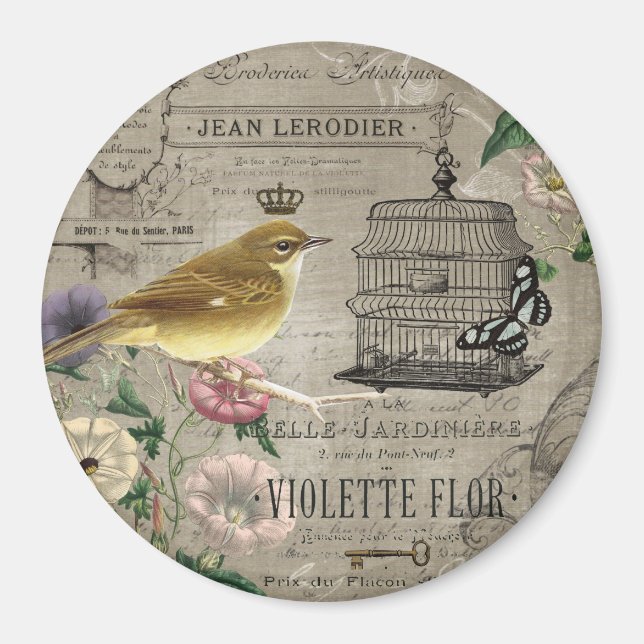 Vintager französischer Vogelmagnet Magnet (Vorne)