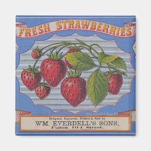 Vintager frischer Erdbeermagnet Magnet