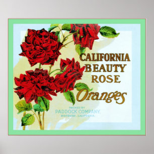 Vintager Frucht-Kisten-Aufkleber Poster