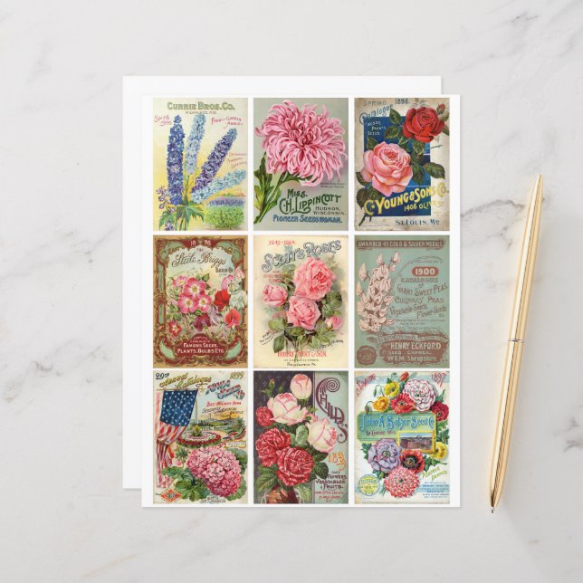 Vintager Garten und Blume Seeds Ephemera (Vorderseite/Rückseite Beispiel)