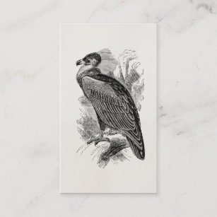 Vintager Geier-Vogel-personalisierte Geier-Vögel Visitenkarte