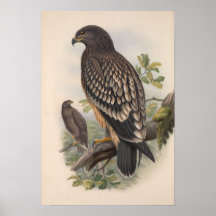 Vintager Gepunkteter Adlervogel