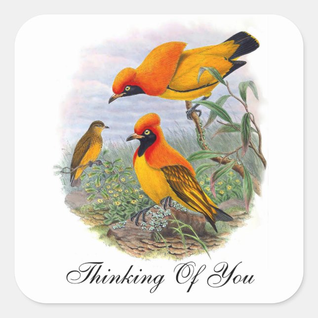 Vintager goldener Vogel des Paradieses Quadratischer Aufkleber (Vorderseite)