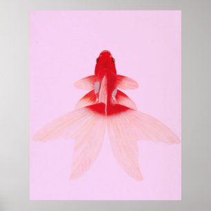 Vintager Goldfisch Wallart Poster