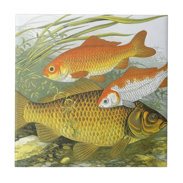 Vintager Goldfish Koi Fisch, Meeresaquatische See  Fliese (Vorderseite)