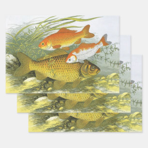 Vintager Goldfish Koi Fisch, Meeresaquatische See  Geschenkpapier Set