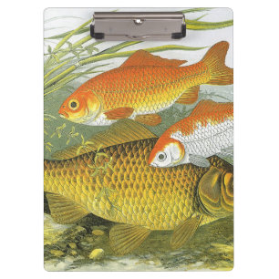 Vintager Goldfish Koi Fisch, Meeresaquatische See Klemmbrett