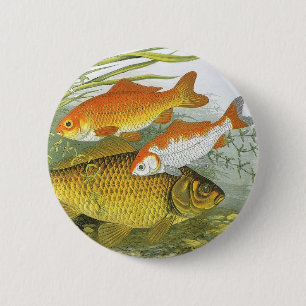 Vintager Goldfish-Koi-Fisch, Meeresleben Button
