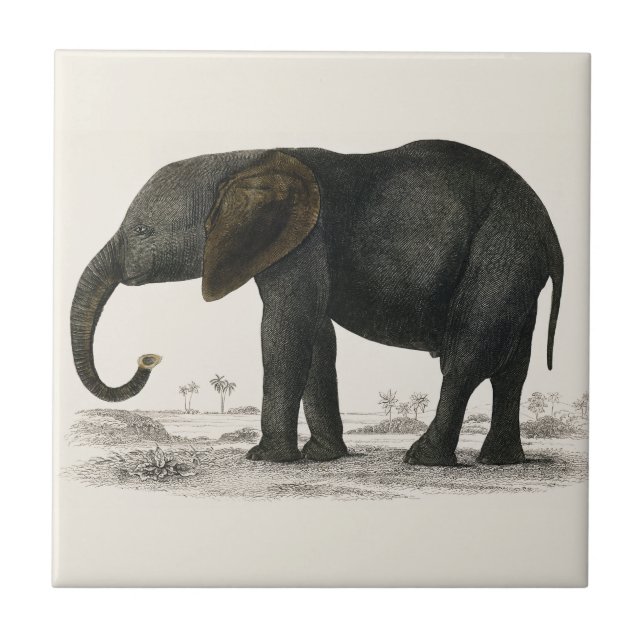 Vintager GrauElefant (1848) von Oliver Goldsmith Fliese (Vorderseite)