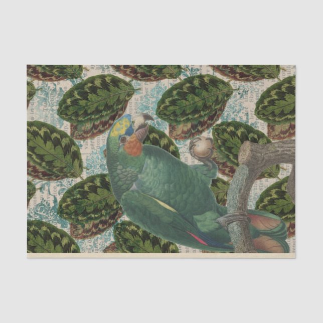 Vintager Grüner Papagei tropisch Seidenpapier (Vorderseite)