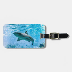Vintager Haifisch-Gepäck-Umbau Gepäckanhänger