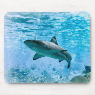 Vintager Haifisch Mousepad