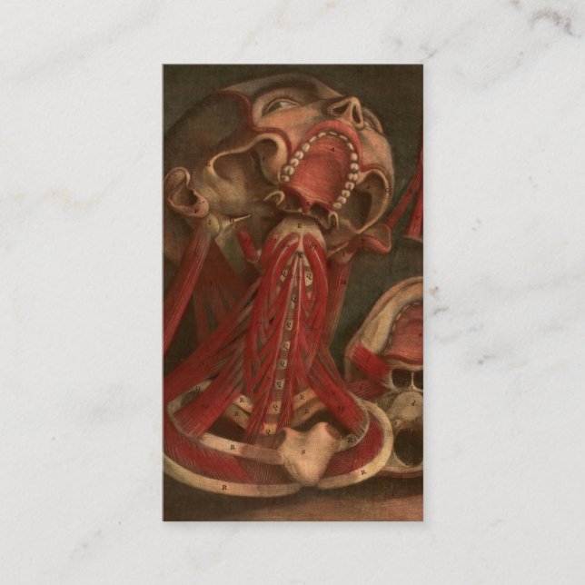 Vintager Hals und Gesicht der Anatomie-| Visitenkarte (Vorderseite)