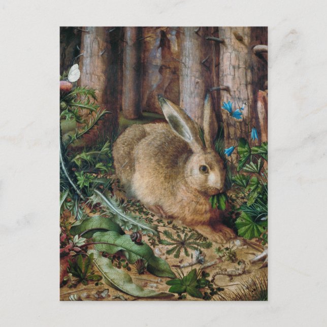 Vintager Hase im Wald - Hans Hoffmann Postkarte (Vorderseite)