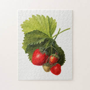 Vintager Haufen Erdbeeren Aquarellmalerei