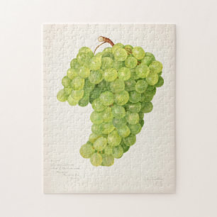Vintager Haufen grüner Trauben