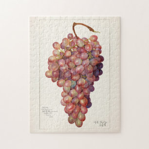 Vintager Haufen roter Trauben Fruchtanstrich