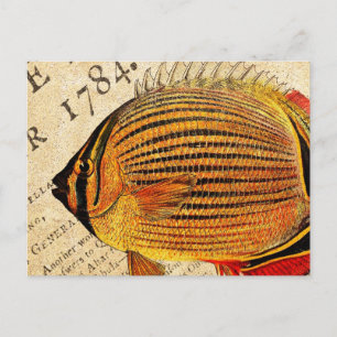 Vintager Hawaiianischer Schmetterlingsfisch, indiv Postkarte