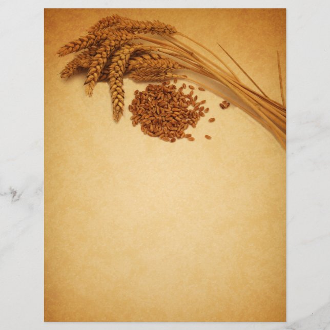 Vintager Herbstweizenmais - Letterhead-Geschirr (Vorderseite)