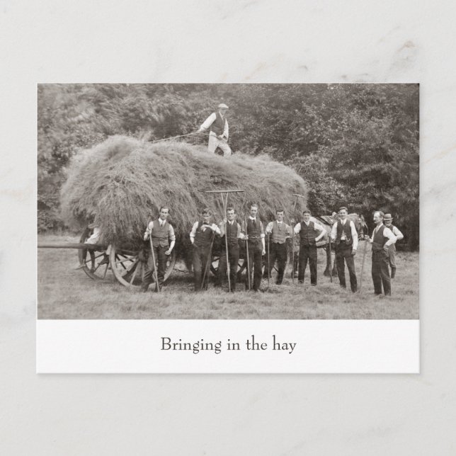 Vintager Heuwagen Postkarte (Vorderseite)
