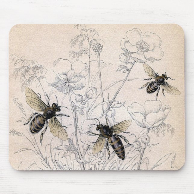 Vintager Honig-Bienen-Kunst-Druck Mousepad (Vorne)