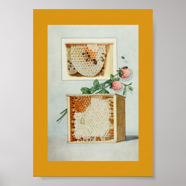 Vintager Honigtopf, Bienen, Bienenwachs und rosa K Poster (Vorne)