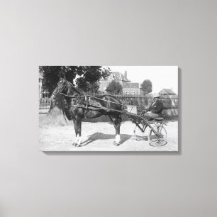 Vintager Huf und sulky Leinwanddruck