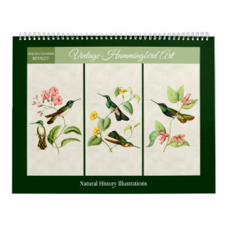 Vintager Hummingbird Art. 2026 Kalender