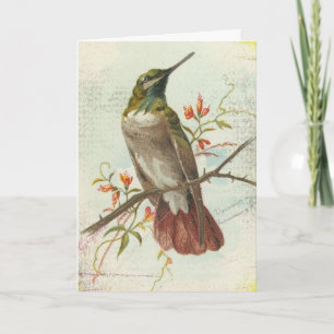 Vintager Hummingvogel, Geburtstag Karte