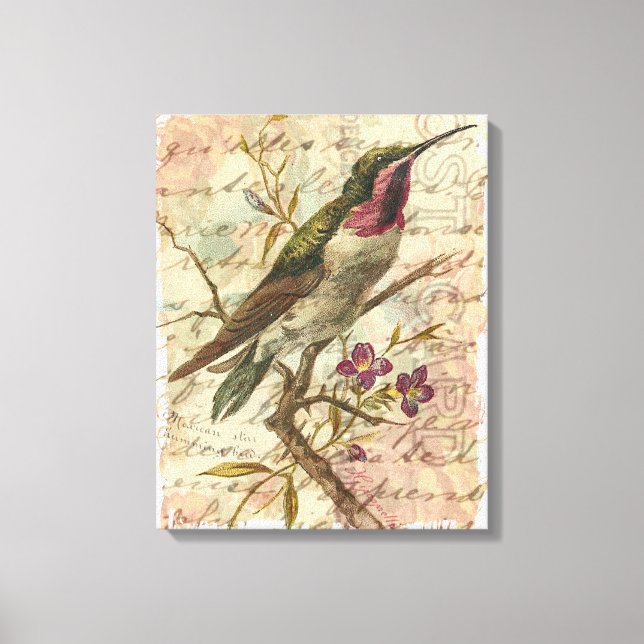 Vintager Hummingvogel Leinwanddruck (Vorderseite)