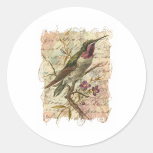 Vintager Hummingvogel Runder Aufkleber