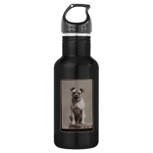 Vintager Hund Edelstahlflasche (Vorderseite)