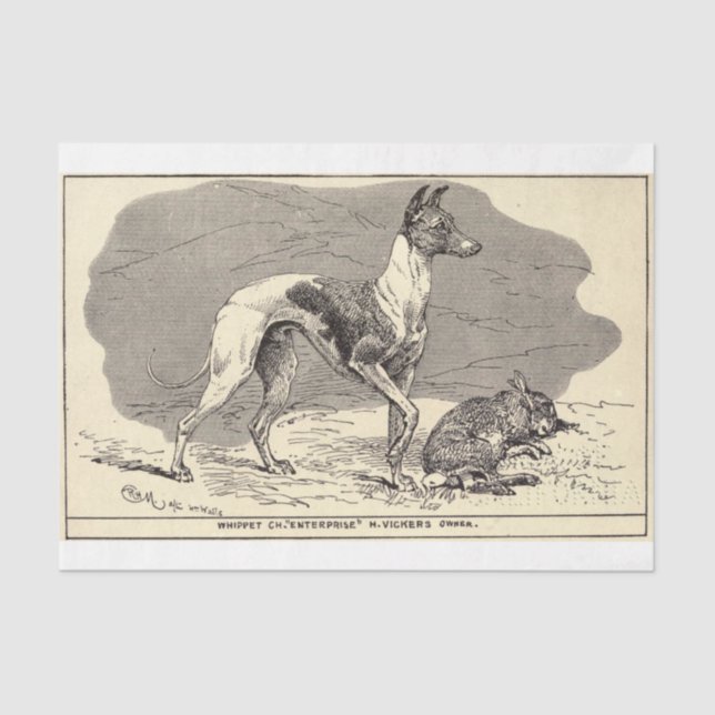 Vintager Hund Ephemera Decoupage Whippet Seidenpapier (Vorderseite)