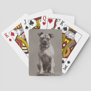 Vintager Hund Spielkarten