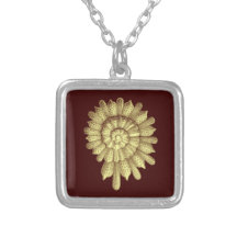 Vintager IllustrationSeashell A01