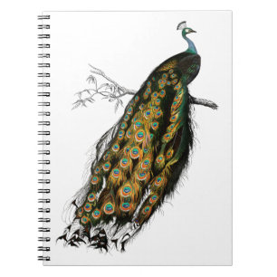 Vintager indischer Pfau Notizblock
