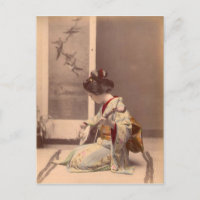 Vintager japanischer Geisha, der Schamisen spielt
