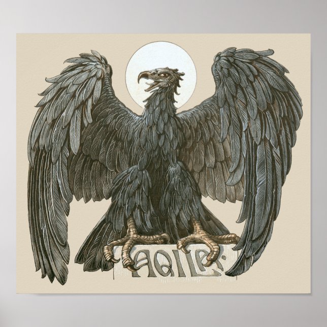 Vintager Jugendjugendadler, Raubvögel Poster (Vorne)