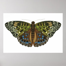 Vintager Jugendstilschmetterling Poster