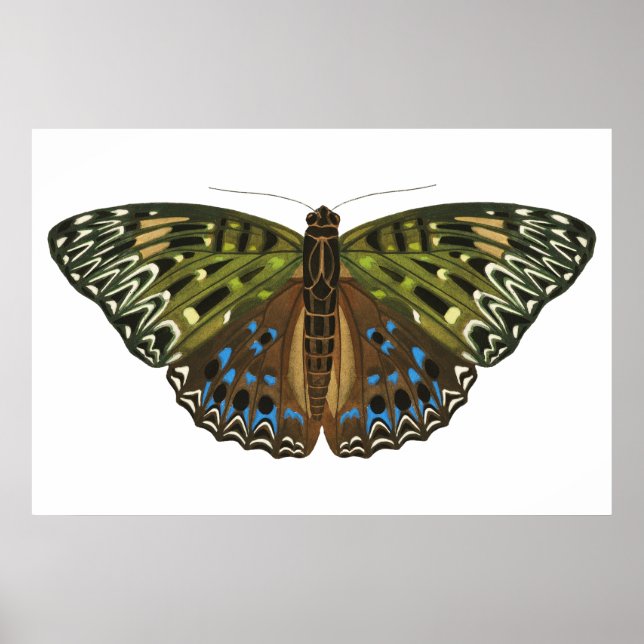 Vintager Jugendstilschmetterling Poster (Vorne)