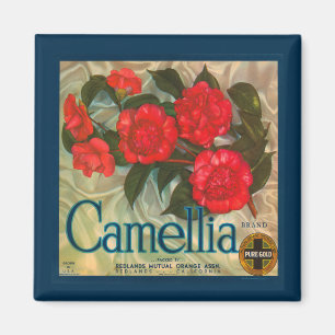 Vintager Kamelien-Marken-Magnet Magnet